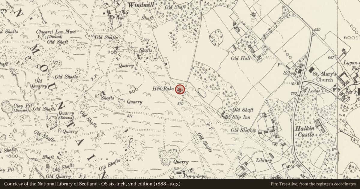Ordnance Survey six-inch map, 2nd edition (1888–1913) covering the location of Hen Rake, including attached Garden and Yard Walls, Halkyn, Flintshire, with a pin at the register's coordinates
