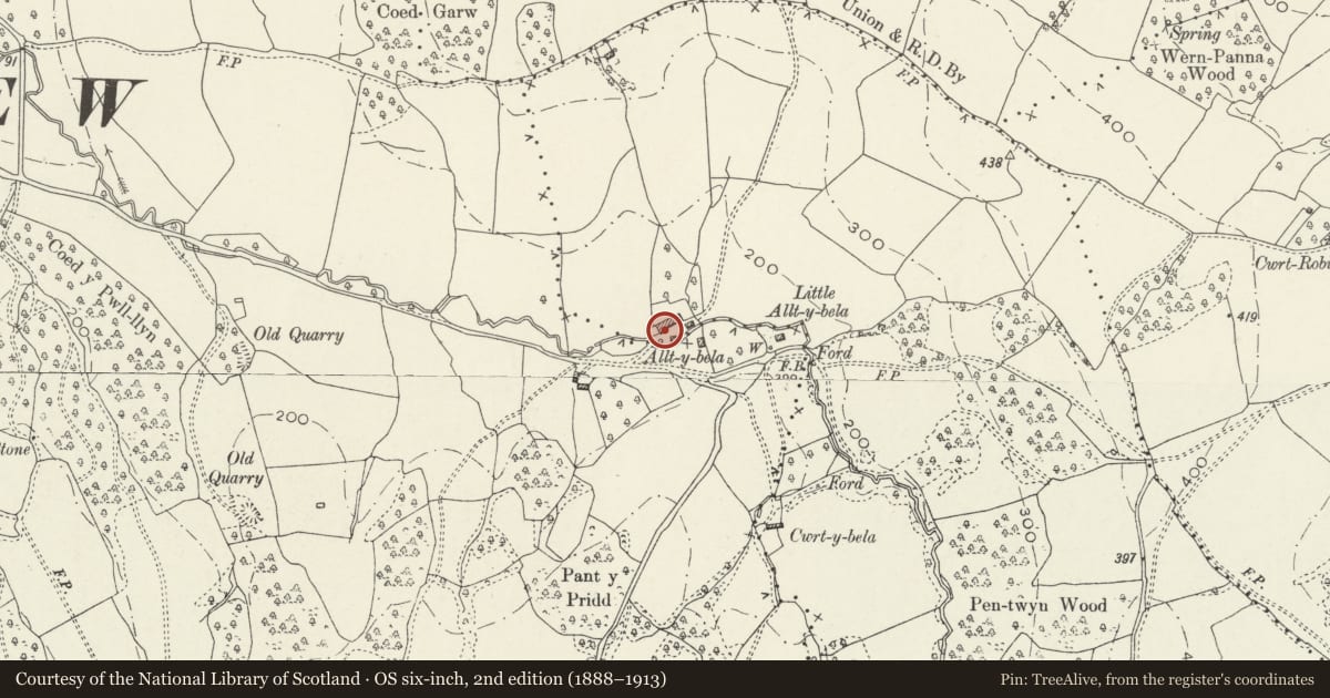 Ordnance Survey six-inch map, 2nd edition (1888–1913) covering the location of Outbuilding at Allt-y-bella, Llantrisant Fawr, Monmouthshire, with a pin at the register's coordinates