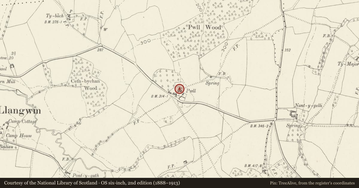 Ordnance Survey six-inch map, 2nd edition (1888–1913) covering the location of The Pwll, Llantrisant Fawr, Monmouthshire, with a pin at the register's coordinates