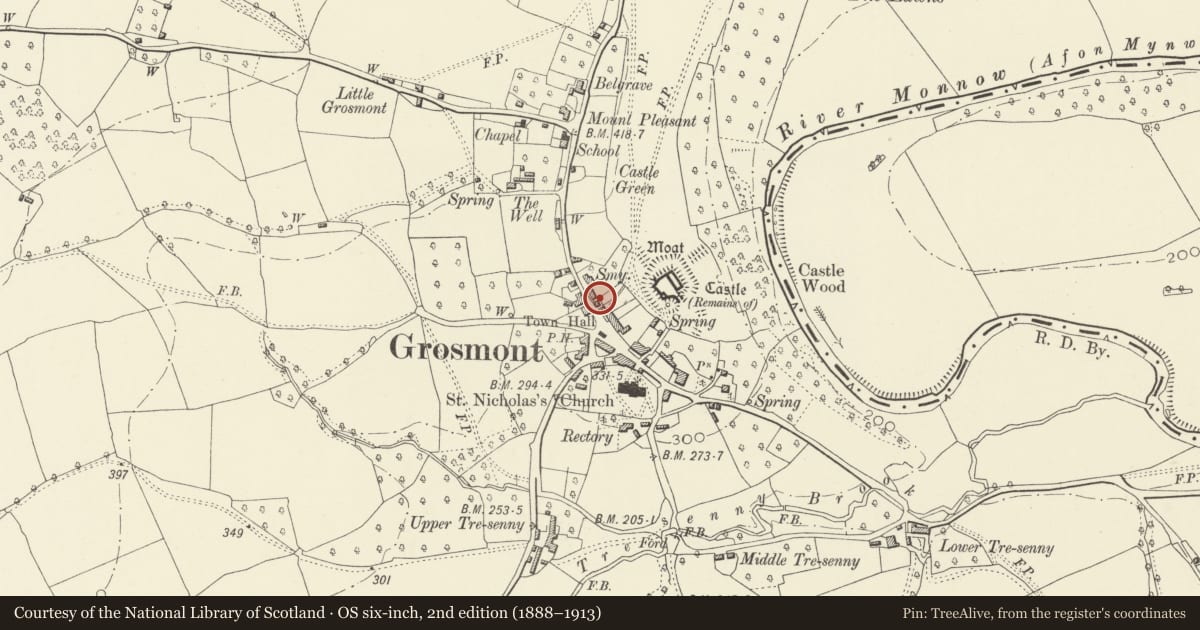 Ordnance Survey six-inch map, 2nd edition (1888–1913) covering the location of Rock Villa including Railed Forecourt, Grosmont, Monmouthshire, with a pin at the register's coordinates