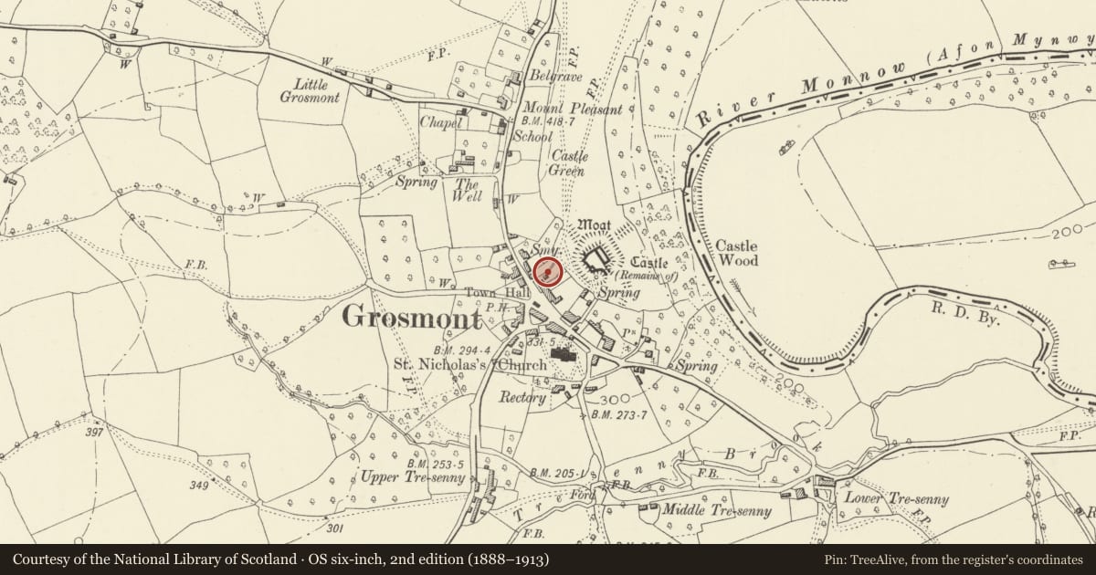 Ordnance Survey six-inch map, 2nd edition (1888–1913) covering the location of The Steppes including Railed Forecourt, Grosmont, Monmouthshire, with a pin at the register's coordinates