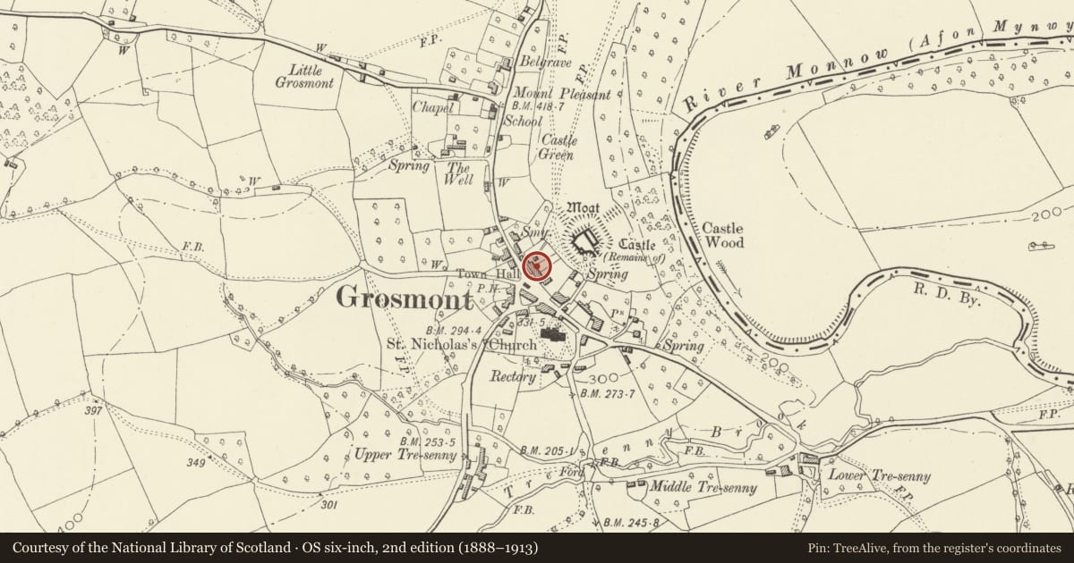 Ordnance Survey six-inch map, 2nd edition (1888–1913) covering the location of Whitney Villa including Railed Forecourt, Grosmont, Monmouthshire, with a pin at the register's coordinates