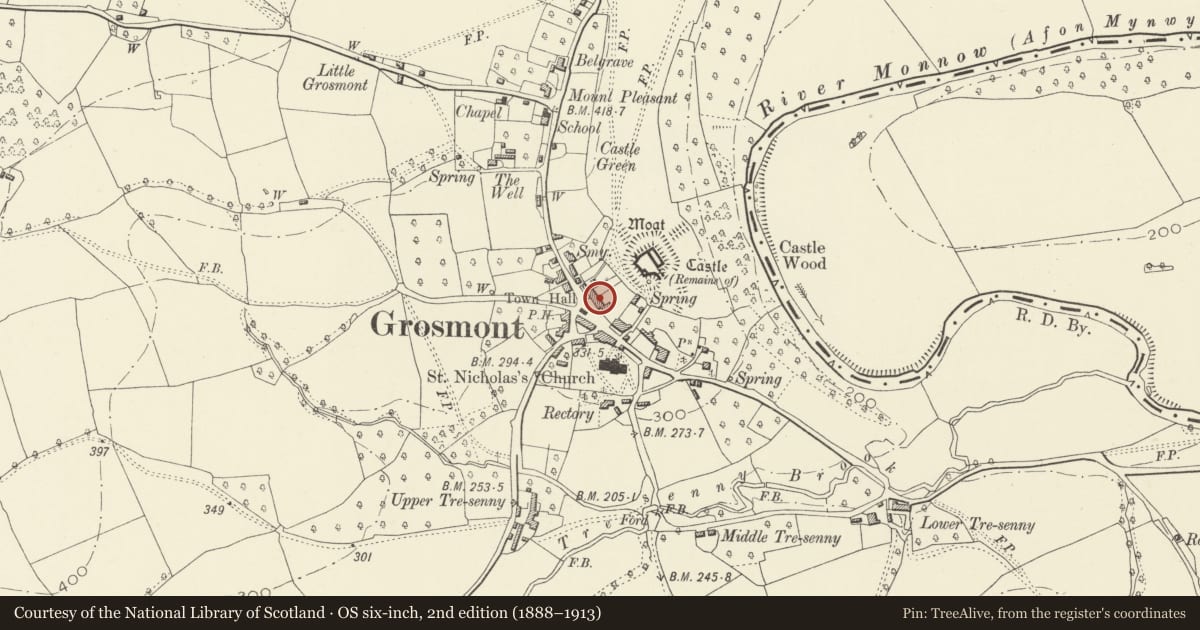Ordnance Survey six-inch map, 2nd edition (1888–1913) covering the location of Howell's House, Grosmont, Monmouthshire, with a pin at the register's coordinates