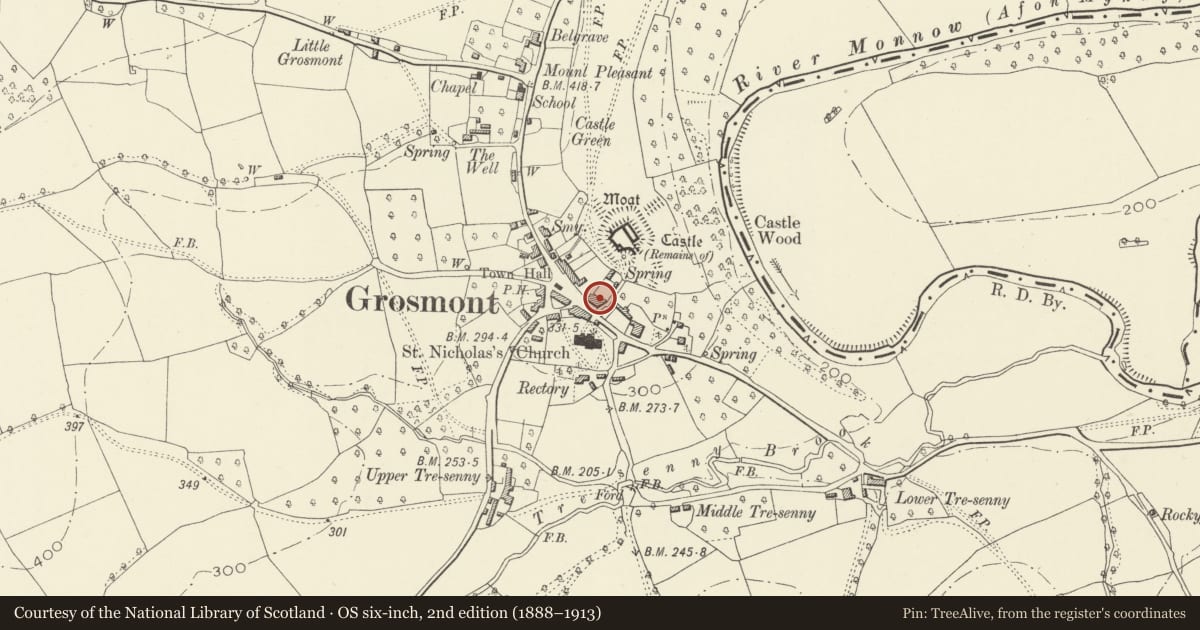 Ordnance Survey six-inch map, 2nd edition (1888–1913) covering the location of Castle House, Grosmont, Monmouthshire, with a pin at the register's coordinates