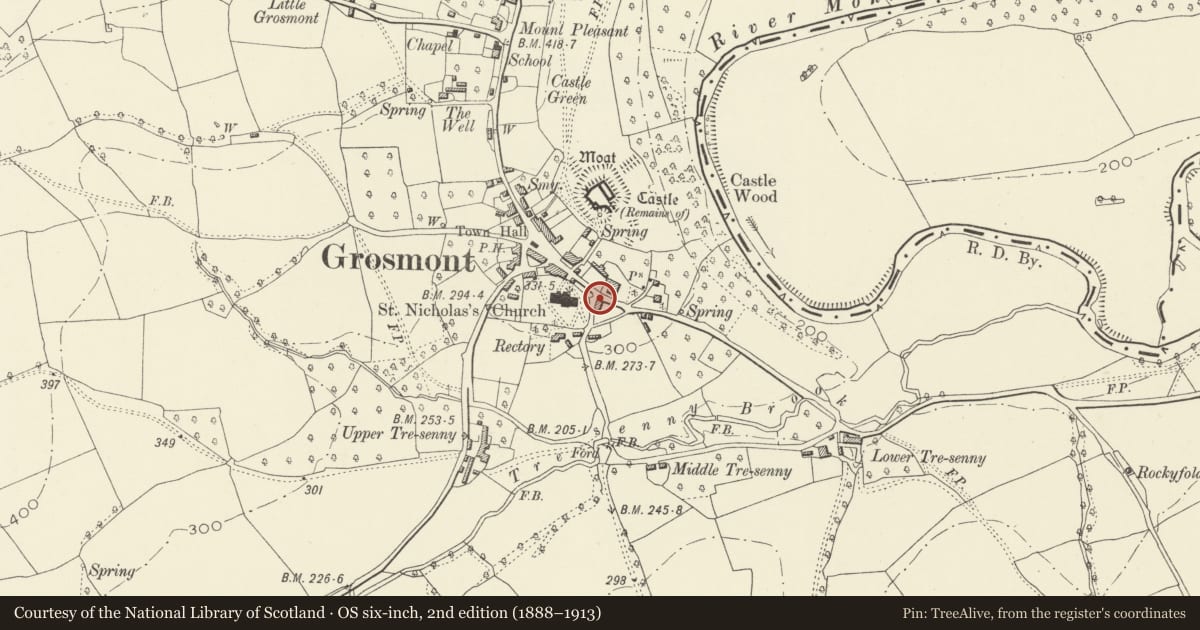 Ordnance Survey six-inch map, 2nd edition (1888–1913) covering the location of Alma House including Railed Forecourt, Grosmont, Monmouthshire, with a pin at the register's coordinates