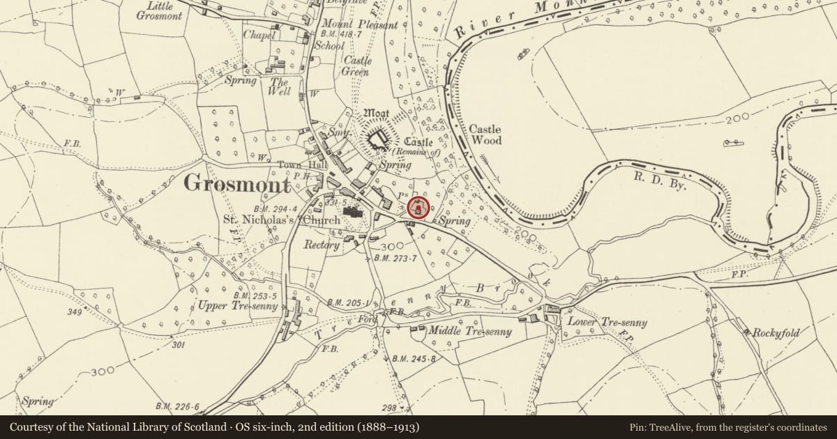 Ordnance Survey six-inch map, 2nd edition (1888–1913) covering the location of Old Tan House, Grosmont, Monmouthshire, with a pin at the register's coordinates