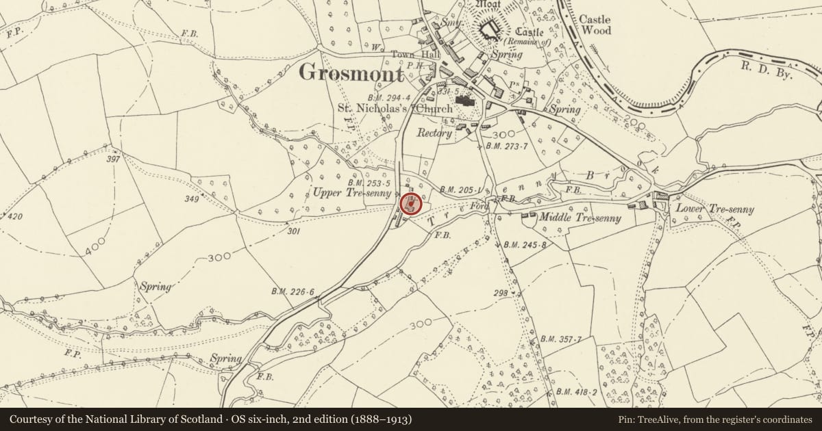 Ordnance Survey six-inch map, 2nd edition (1888–1913) covering the location of Stable at Great Tresenny, Grosmont, Monmouthshire, with a pin at the register's coordinates