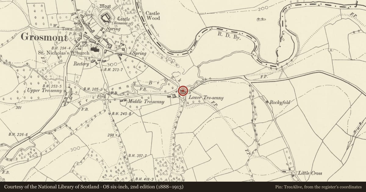 Ordnance Survey six-inch map, 2nd edition (1888–1913) covering the location of Lower Tresenny Farmhouse, Grosmont, Monmouthshire, with a pin at the register's coordinates