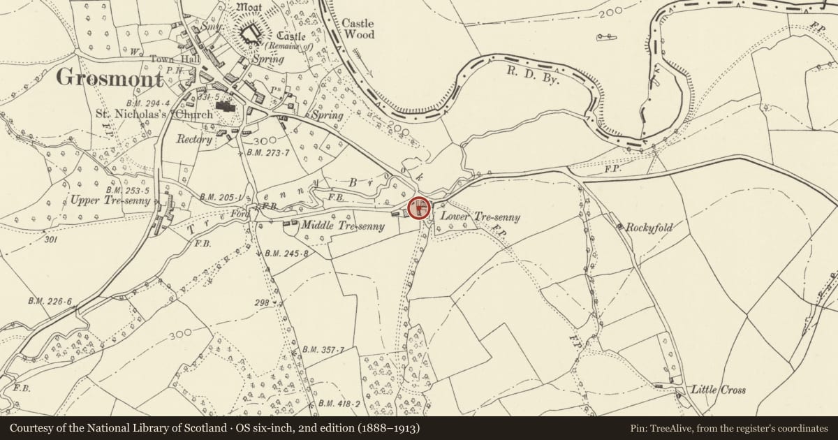 Ordnance Survey six-inch map, 2nd edition (1888–1913) covering the location of Granary at Lower Tresenny, Grosmont, Monmouthshire, with a pin at the register's coordinates