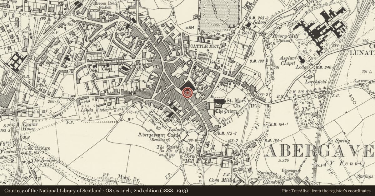Ordnance Survey six-inch map, 2nd edition (1888–1913) covering the location of Kings Head Hotel, Abergavenny, Monmouthshire, with a pin at the register's coordinates