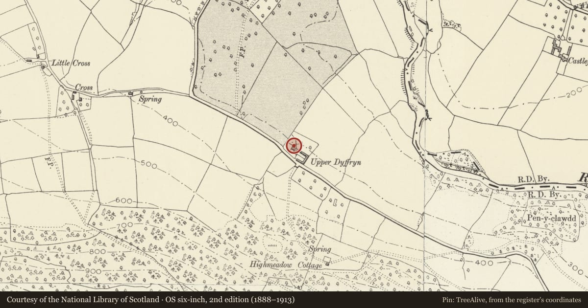 Ordnance Survey six-inch map, 2nd edition (1888–1913) covering the location of Former Detached Kitchen and Dairy at Upper Dyffryn, Grosmont, Monmouthshire, with a pin at the register's coordinates
