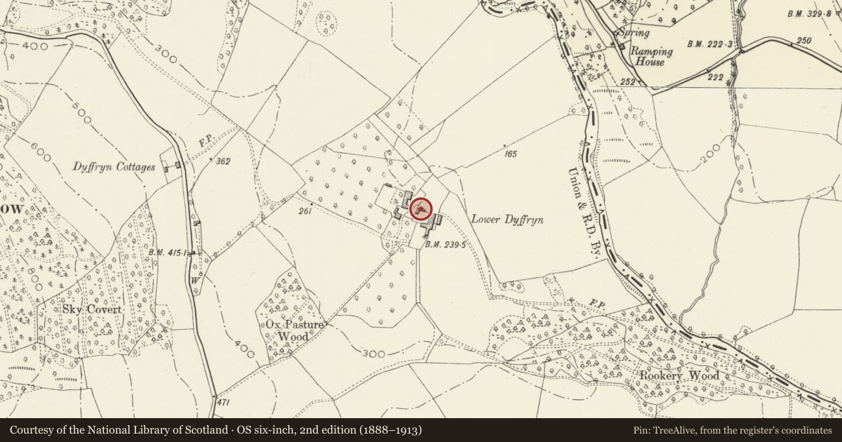 Ordnance Survey six-inch map, 2nd edition (1888–1913) covering the location of Shelter Shed at Lower Dyffryn, Grosmont, Monmouthshire, with a pin at the register's coordinates