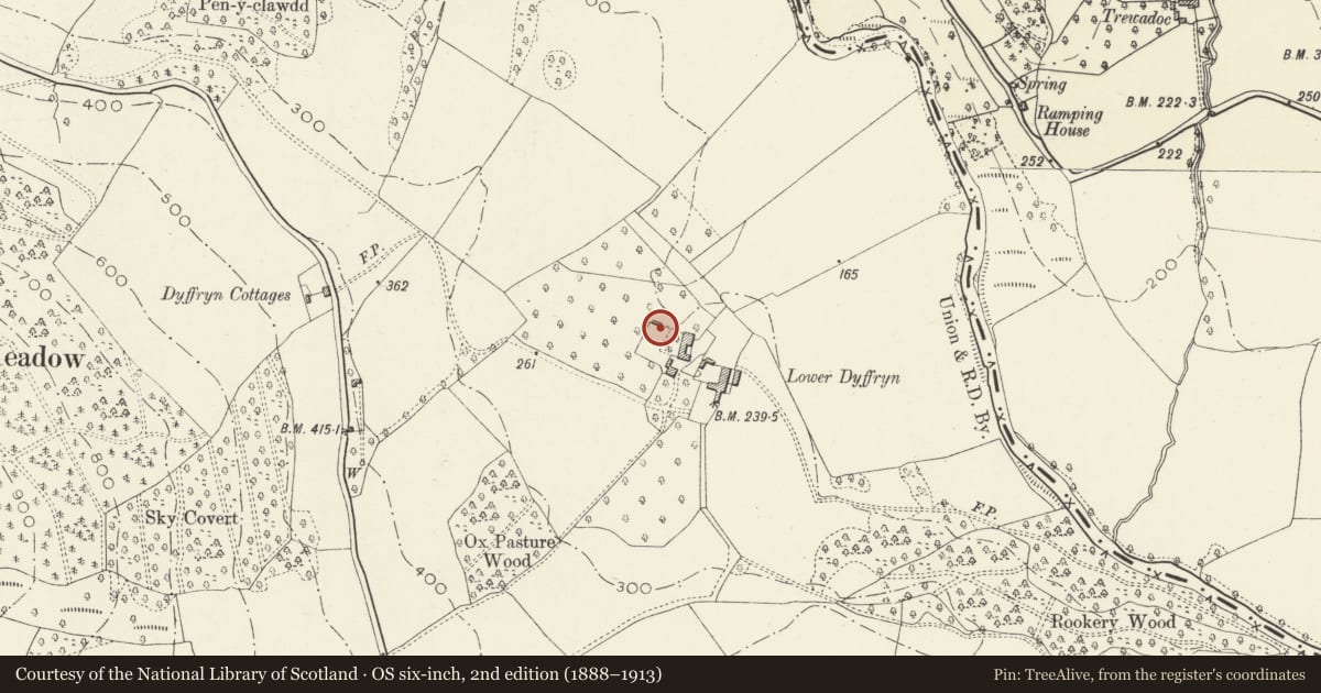 Ordnance Survey six-inch map, 2nd edition (1888–1913) covering the location of Walls to Terraced Garden at Lower Dyffryn, Grosmont, Monmouthshire, with a pin at the register's coordinates