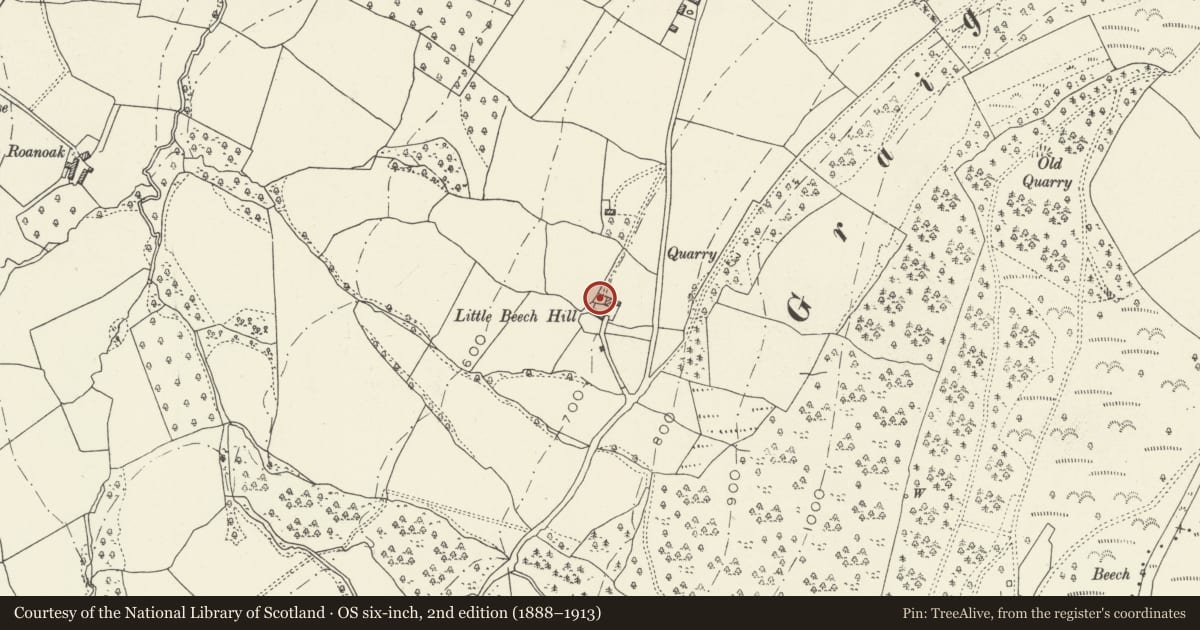 Ordnance Survey six-inch map, 2nd edition (1888–1913) covering the location of Little Beech Hill, Grosmont, Monmouthshire, with a pin at the register's coordinates