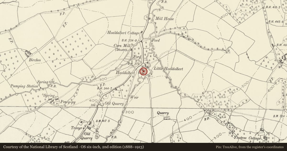 Ordnance Survey six-inch map, 2nd edition (1888–1913) covering the location of Courtyard Wall, Gates and Railings at Hoaldalbert, Grosmont, Monmouthshire, with a pin at the register's coordinates