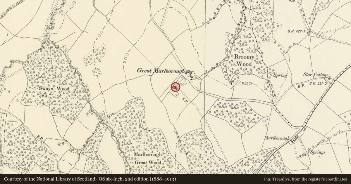 Ordnance Survey six-inch map, 2nd edition (1888–1913) covering the location of Great Marlborough, Grosmont, Monmouthshire, with a pin at the register's coordinates