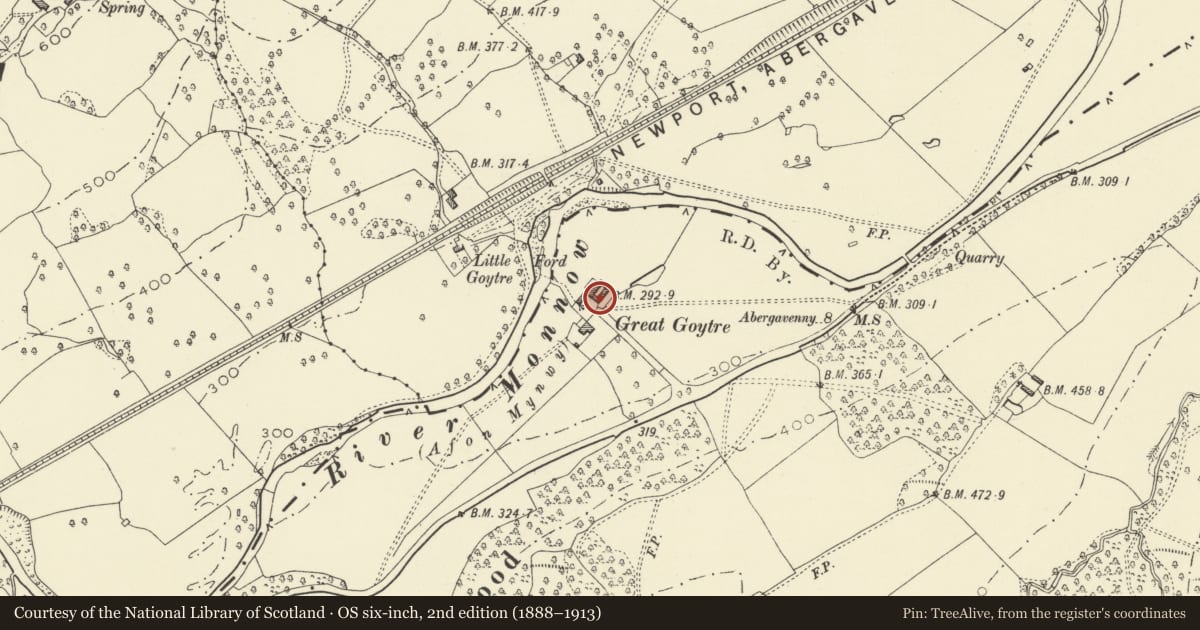 Ordnance Survey six-inch map, 2nd edition (1888–1913) covering the location of Cowhouse, Granary and Cartshed at Great Goytre, Grosmont, Monmouthshire, with a pin at the register's coordinates