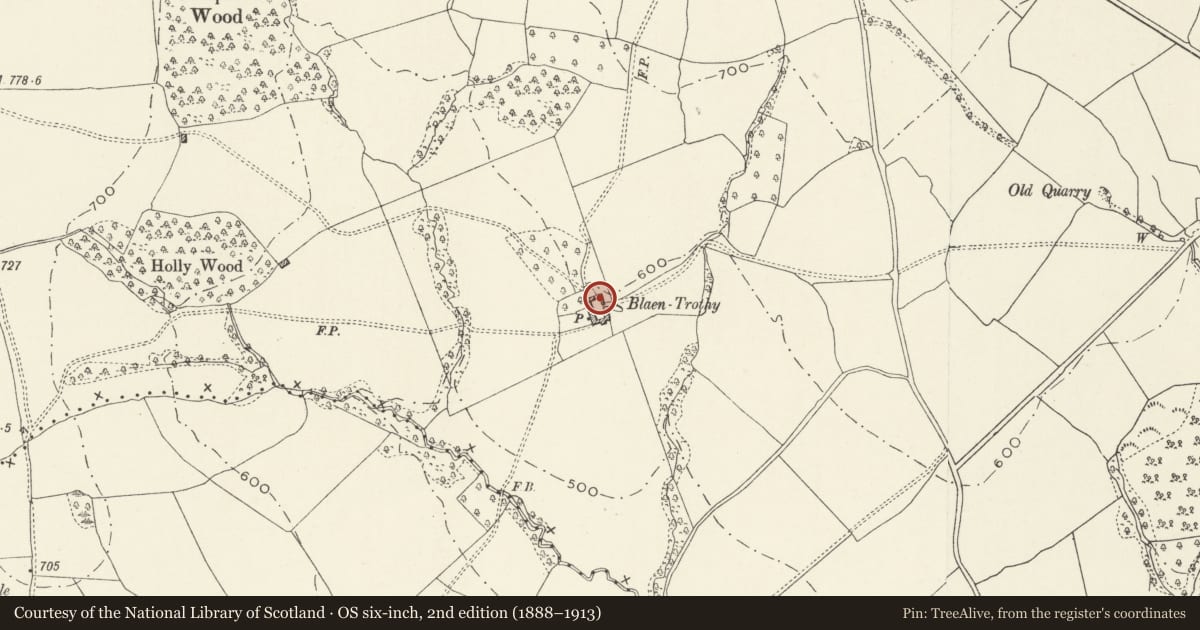 Ordnance Survey six-inch map, 2nd edition (1888–1913) covering the location of Shelter Shed at Blaentrothy, Grosmont, Monmouthshire, with a pin at the register's coordinates