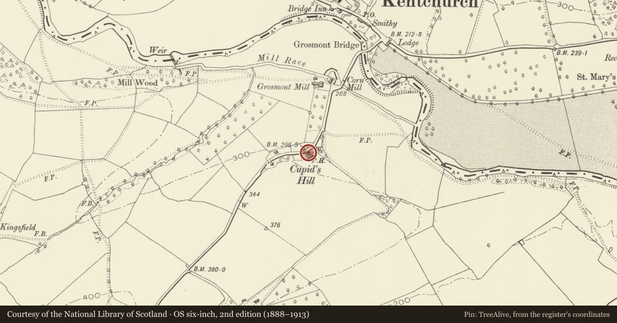 Ordnance Survey six-inch map, 2nd edition (1888–1913) covering the location of Cupid's Hill Inn, Grosmont, Monmouthshire, with a pin at the register's coordinates