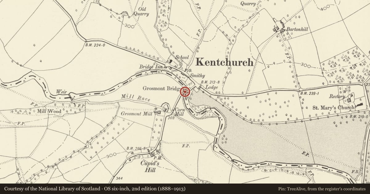 Ordnance Survey six-inch map, 2nd edition (1888–1913) covering the location of Grosmont Bridge, Monmouthshire, with a pin at the register's coordinates