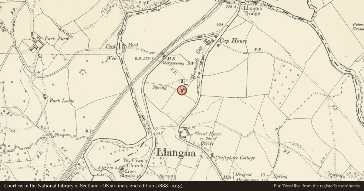 Ordnance Survey six-inch map, 2nd edition (1888–1913) covering the location of Barn at Monmouth Cap, Grosmont, Monmouthshire, with a pin at the register's coordinates