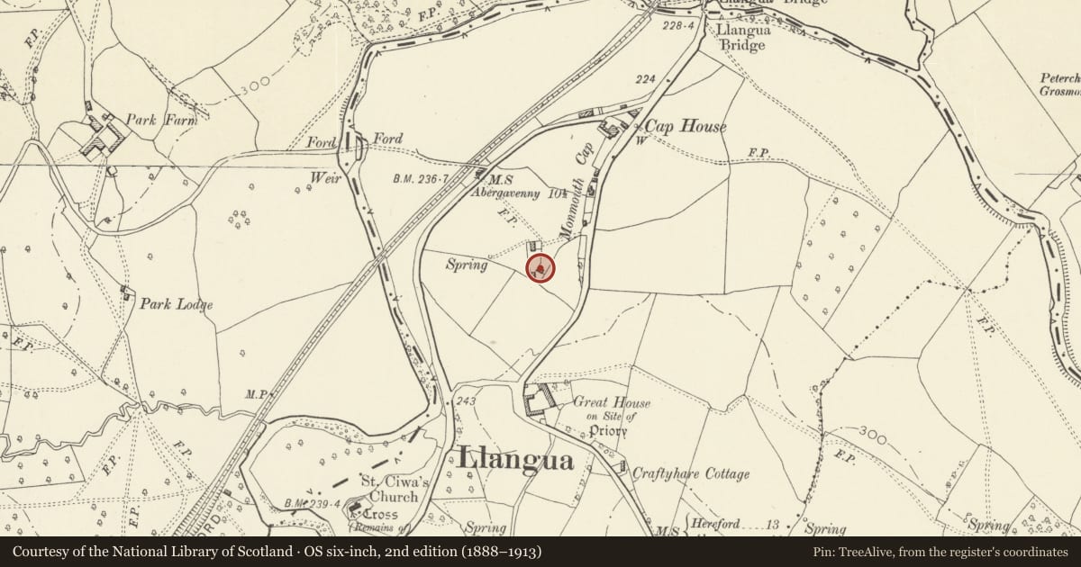 Ordnance Survey six-inch map, 2nd edition (1888–1913) covering the location of Shelter Shed at Monmouth Cap, Grosmont, Monmouthshire, with a pin at the register's coordinates