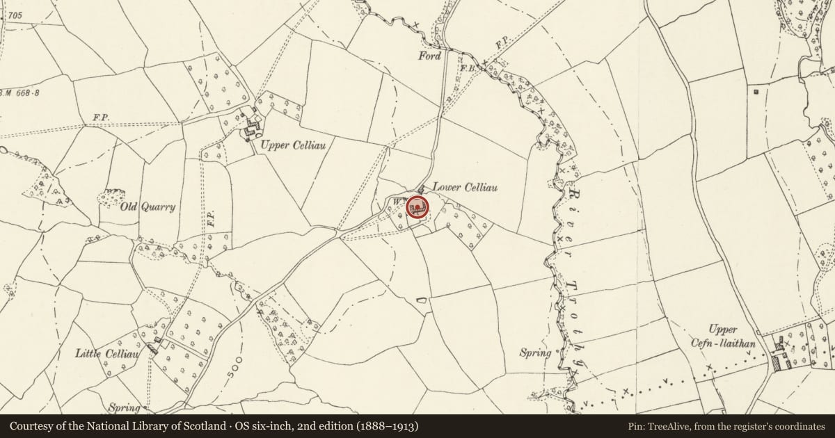 Ordnance Survey six-inch map, 2nd edition (1888–1913) covering the location of Barn and Shelter Shed at Lower Celliau, Grosmont, Monmouthshire, with a pin at the register's coordinates