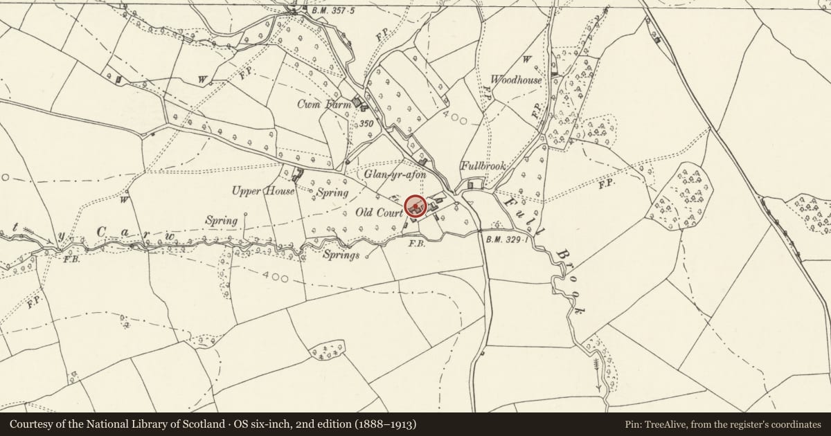 Ordnance Survey six-inch map, 2nd edition (1888–1913) covering the location of Barn at Old Court, Grosmont, Monmouthshire, with a pin at the register's coordinates