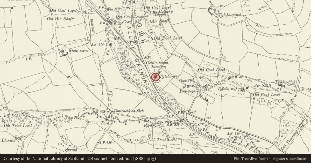Ordnance Survey six-inch map, 2nd edition (1888–1913) covering the location of Tylcha Wen including attached range of former outbuildings, Tonyrefail, Rhondda Cynon Taff, with a pin at the register's coordinates