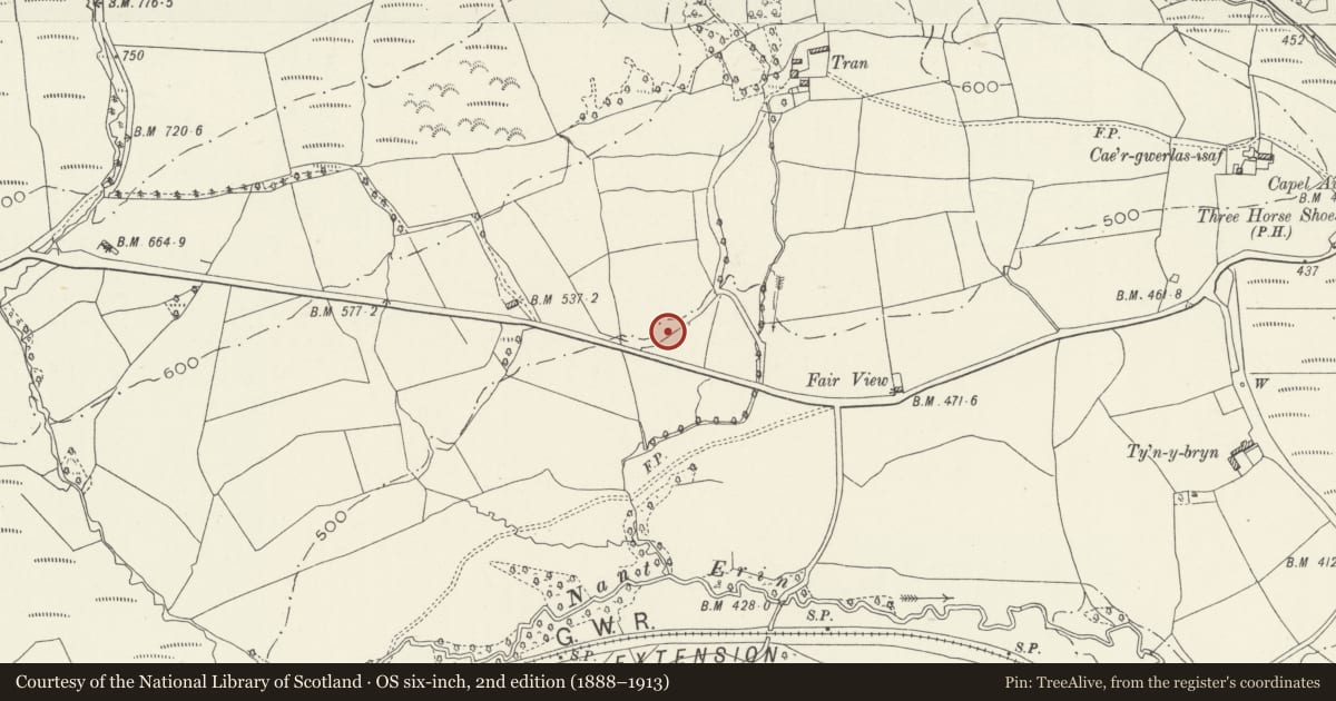 Ordnance Survey six-inch map, 2nd edition (1888–1913) covering the location of War Memorial, Tonyrefail, Rhondda Cynon Taff, with a pin at the register's coordinates