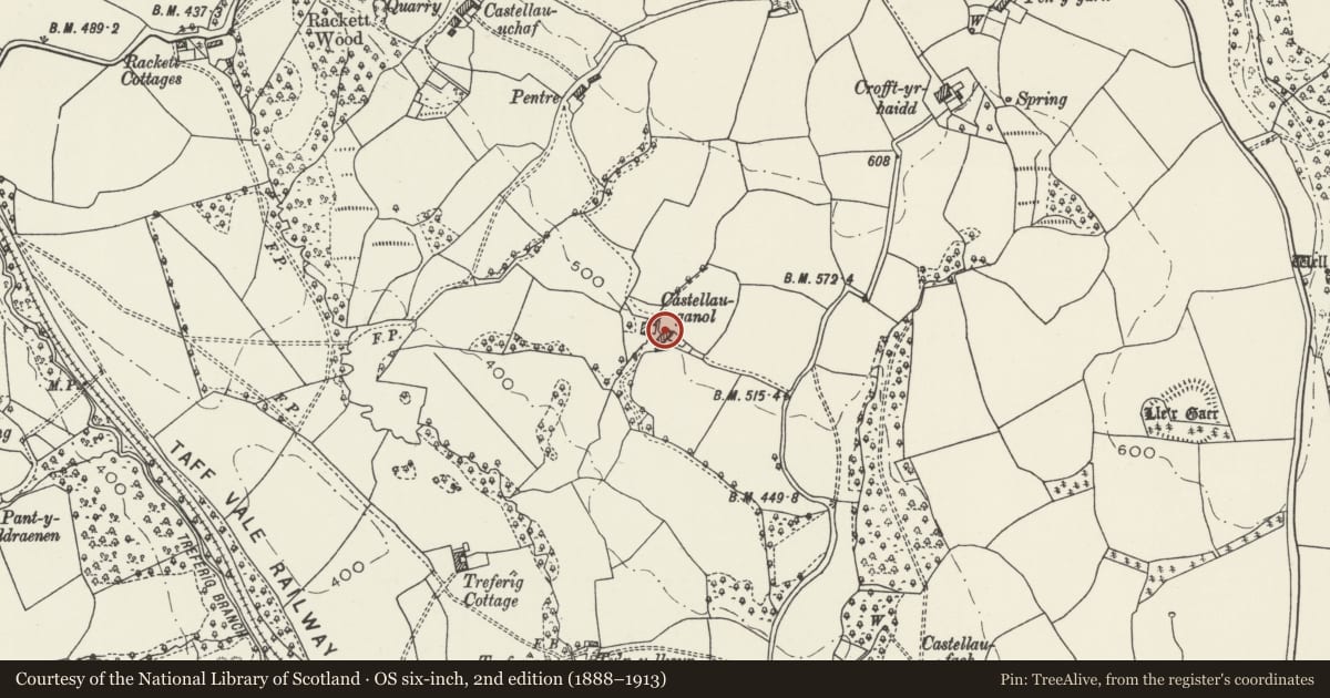 Ordnance Survey six-inch map, 2nd edition (1888–1913) covering the location of Castellau Ganol, Tonyrefail, Rhondda Cynon Taff, with a pin at the register's coordinates