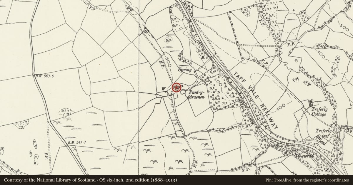 Ordnance Survey six-inch map, 2nd edition (1888–1913) covering the location of Pant y Ddraenan, Tonyrefail, Rhondda Cynon Taff, with a pin at the register's coordinates