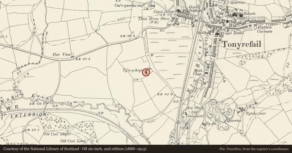 Ordnance Survey six-inch map, 2nd edition (1888–1913) covering the location of Ty'n y Bryn, Tonyrefail, Rhondda Cynon Taff, with a pin at the register's coordinates