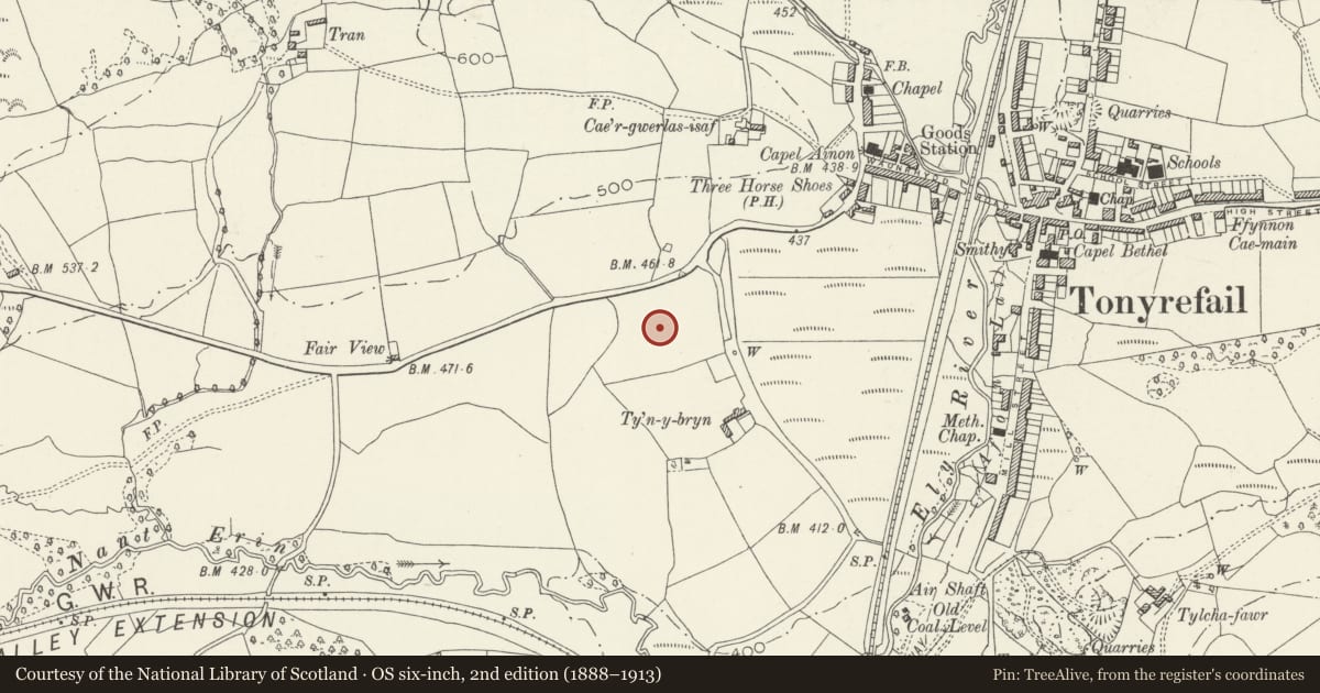 Ordnance Survey six-inch map, 2nd edition (1888–1913) covering the location of Tonyrefail School, Rhondda Cynon Taff, with a pin at the register's coordinates