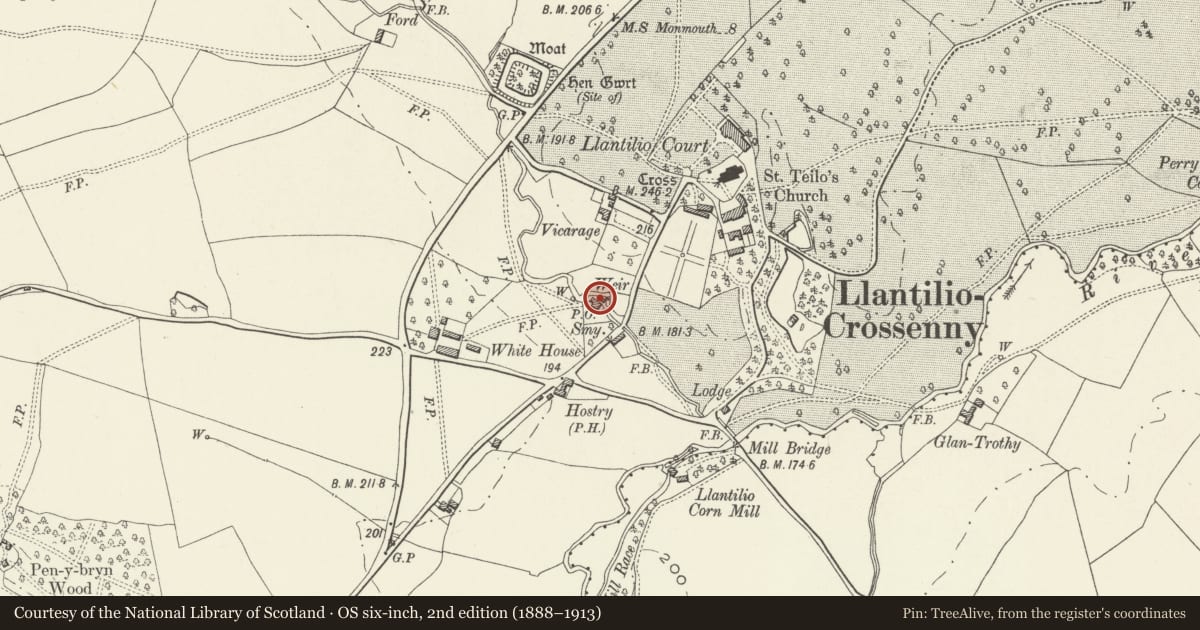 Ordnance Survey six-inch map, 2nd edition (1888–1913) covering the location of Weir House, Whitecastle, Monmouthshire, with a pin at the register's coordinates