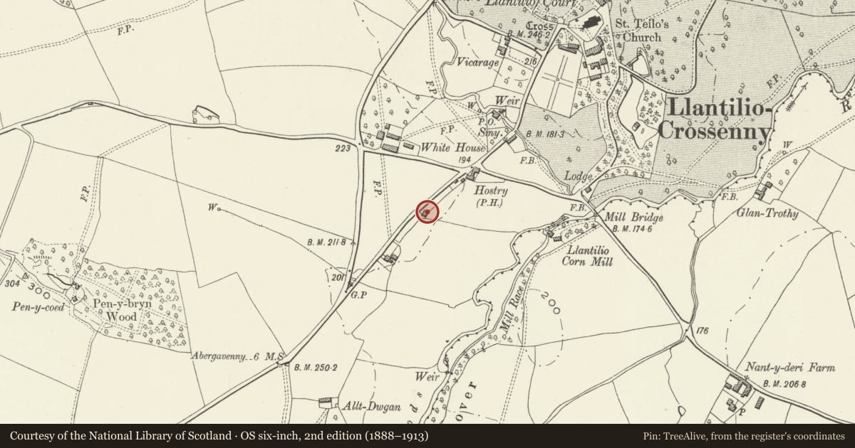Ordnance Survey six-inch map, 2nd edition (1888–1913) covering the location of Hostry Cottage, Whitecastle, Monmouthshire, with a pin at the register's coordinates