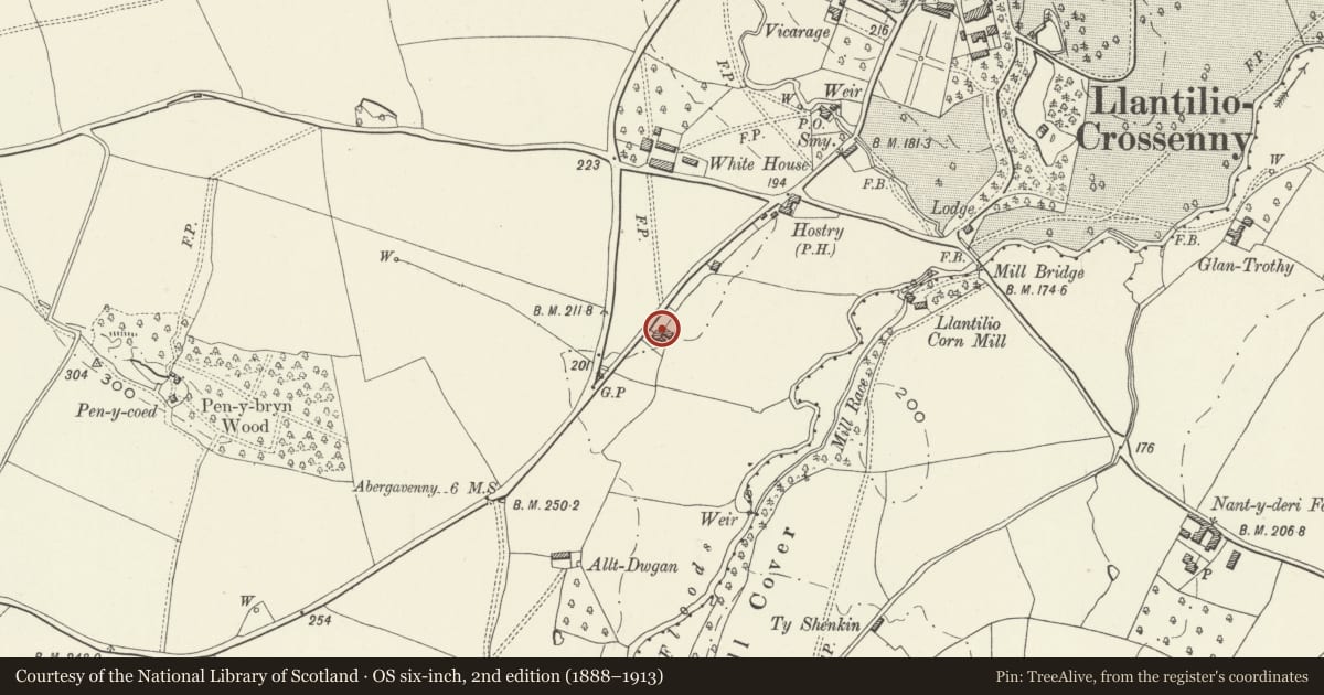 Ordnance Survey six-inch map, 2nd edition (1888–1913) covering the location of Llewyncelyn, Whitecastle, Monmouthshire, with a pin at the register's coordinates