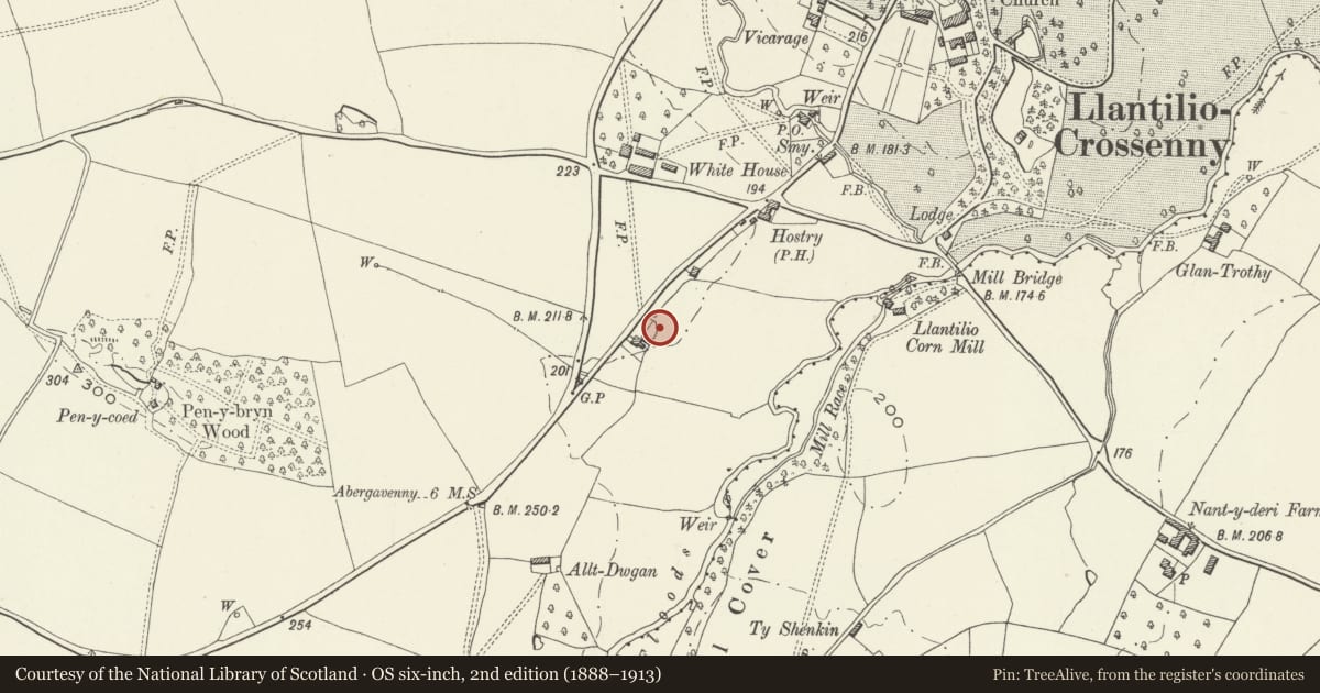 Ordnance Survey six-inch map, 2nd edition (1888–1913) covering the location of Former Llantilio Estate Laundry at Llewyncelyn, Whitecastle, Monmouthshire, with a pin at the register's coordinates