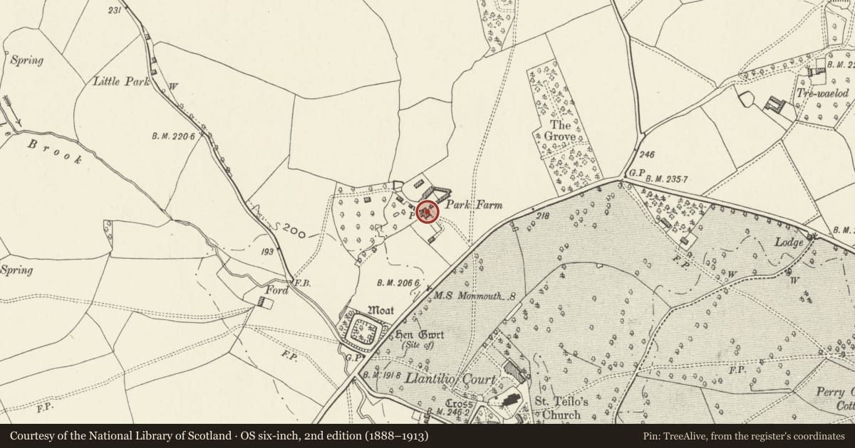 Ordnance Survey six-inch map, 2nd edition (1888–1913) covering the location of Park Farm, Whitecastle, Monmouthshire, with a pin at the register's coordinates