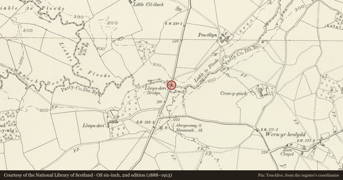 Ordnance Survey six-inch map, 2nd edition (1888–1913) covering the location of Llwynderi Bridge, Llanarth, Monmouthshire, with a pin at the register's coordinates