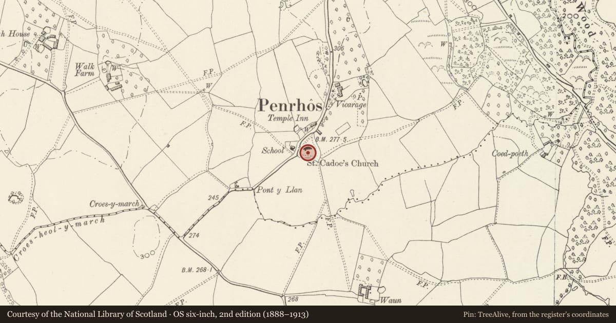 Ordnance Survey six-inch map, 2nd edition (1888–1913) covering the location of Cross in St Cadoc's Churchyard, Whitecastle, Monmouthshire, with a pin at the register's coordinates