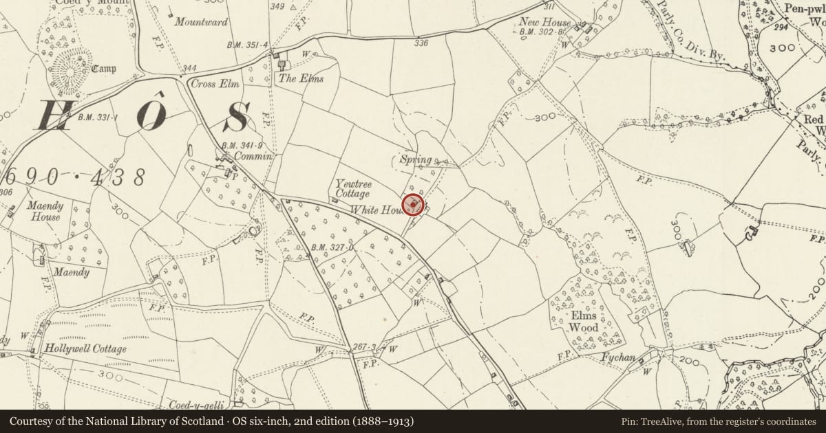 Ordnance Survey six-inch map, 2nd edition (1888–1913) covering the location of Former Farmhouse at White House Farm, Whitecastle, Monmouthshire, with a pin at the register's coordinates