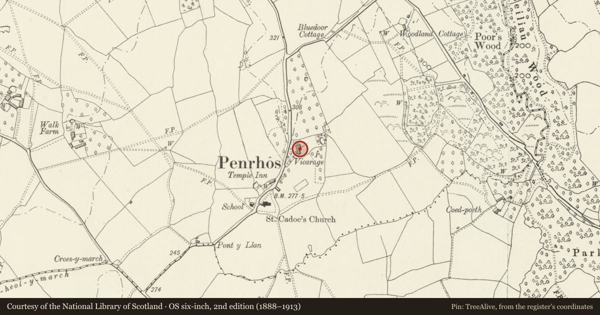 Ordnance Survey six-inch map, 2nd edition (1888–1913) covering the location of The Old Vicarage (aka The Firs), Whitecastle, Monmouthshire, with a pin at the register's coordinates