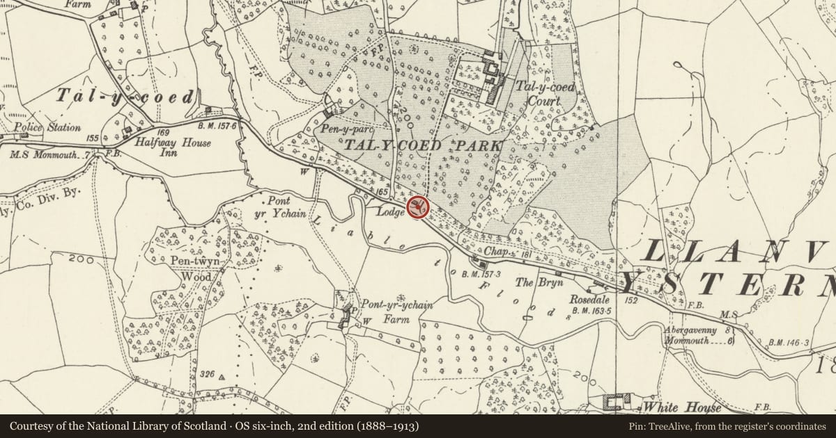 Ordnance Survey six-inch map, 2nd edition (1888–1913) covering the location of Gatepiers, Piers and Walls at Main Entrance to Tal-y-coed Court, Whitecastle, Monmouthshire, with a pin at the register's coordinates