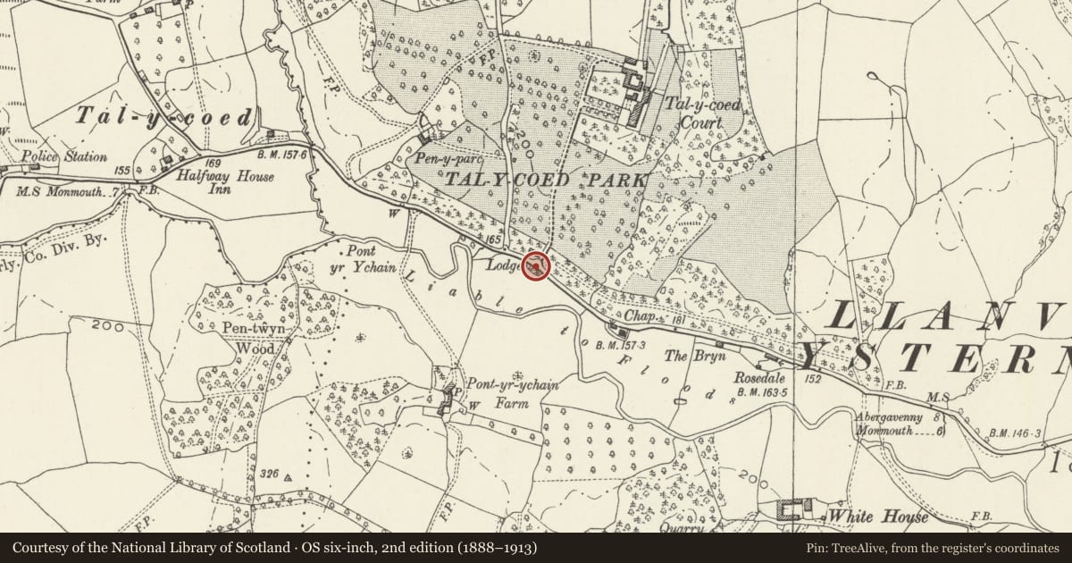 Ordnance Survey six-inch map, 2nd edition (1888–1913) covering the location of Drinking Trough and Wall opposite Main Entrance Gateway to Tal-y-coed Court, Whitecastle, Monmouthshire, with a pin at the register's coordinates