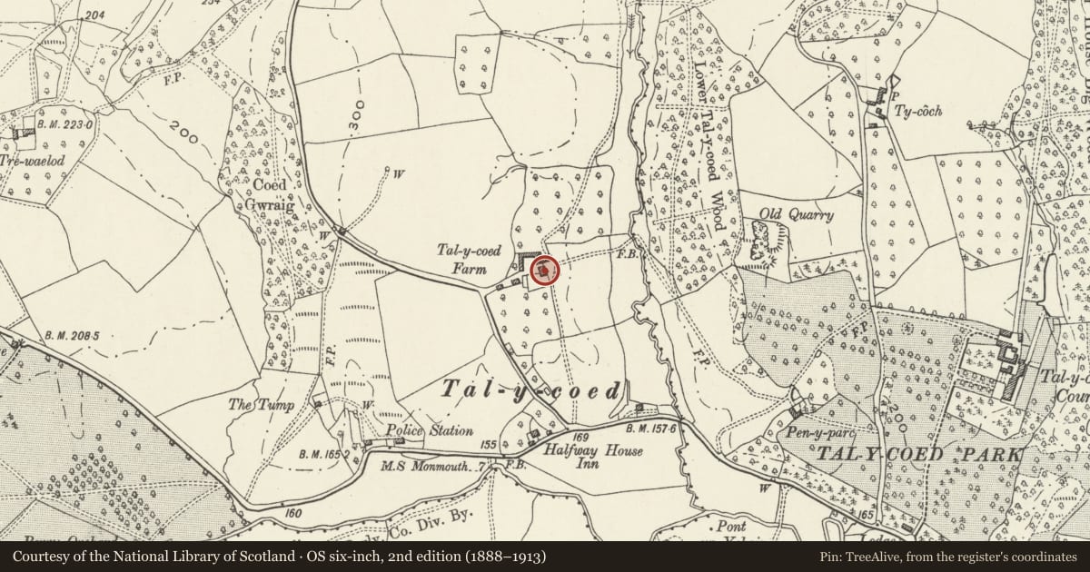 Ordnance Survey six-inch map, 2nd edition (1888–1913) covering the location of Talycoed Farmhouse, Whitecastle, Monmouthshire, with a pin at the register's coordinates