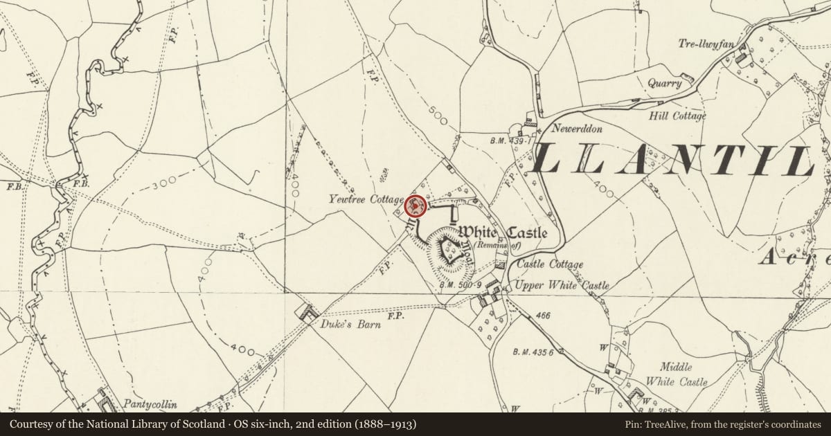 Ordnance Survey six-inch map, 2nd edition (1888–1913) covering the location of Yewtree Cottage, Whitecastle, Monmouthshire, with a pin at the register's coordinates