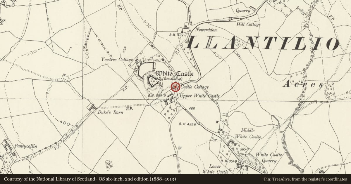 Ordnance Survey six-inch map, 2nd edition (1888–1913) covering the location of White Castle Cottage, Whitecastle, Monmouthshire, with a pin at the register's coordinates