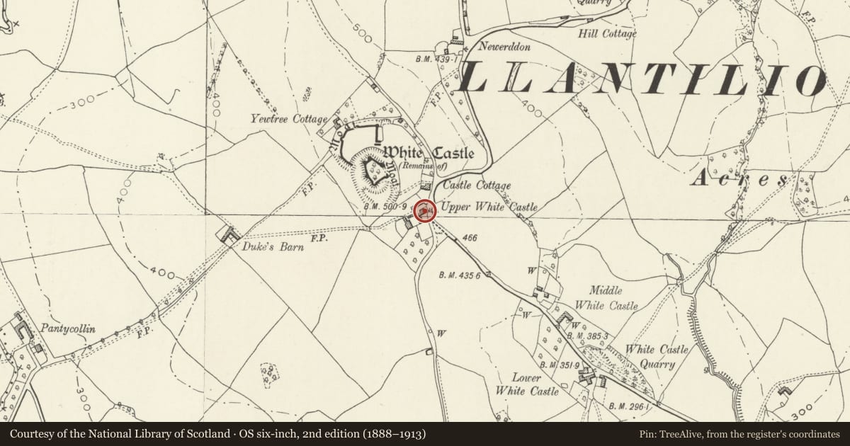 Ordnance Survey six-inch map, 2nd edition (1888–1913) covering the location of Upper White Castle Farmhouse, Whitecastle, Monmouthshire, with a pin at the register's coordinates