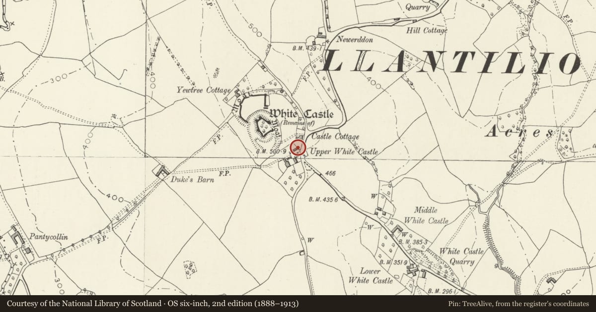 Ordnance Survey six-inch map, 2nd edition (1888–1913) covering the location of Pigsty at Upper White Castle, Whitecastle, Monmouthshire, with a pin at the register's coordinates